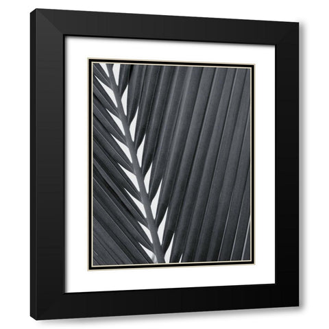 Feuillage Design Black Modern Wood Framed Art Print with Double Matting by Braun Studio