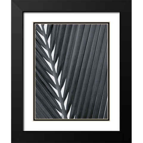 Feuillage Design Black Modern Wood Framed Art Print with Double Matting by Braun Studio