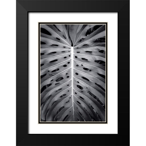 Feuillage Monstera Black Modern Wood Framed Art Print with Double Matting by Braun Studio