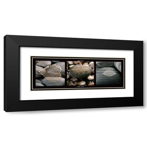 Feuilles et galets Black Modern Wood Framed Art Print with Double Matting by Pinsard, Laurent