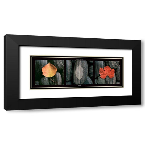 Feuilles Black Modern Wood Framed Art Print with Double Matting by Pinsard, Laurent