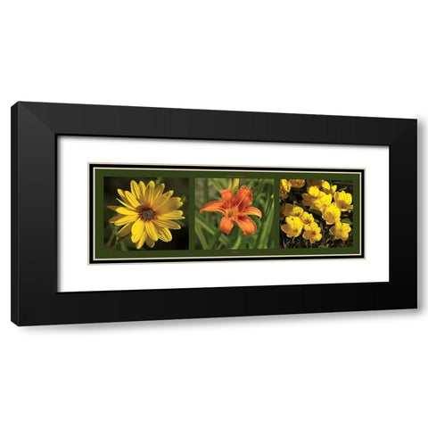 Fleurs Black Modern Wood Framed Art Print with Double Matting by Pinsard, Laurent