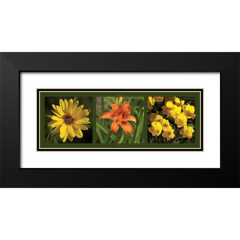 Fleurs Black Modern Wood Framed Art Print with Double Matting by Pinsard, Laurent
