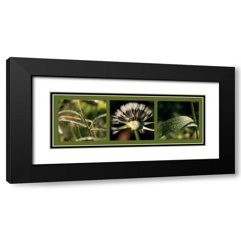 Rosee Black Modern Wood Framed Art Print with Double Matting by Pinsard, Laurent