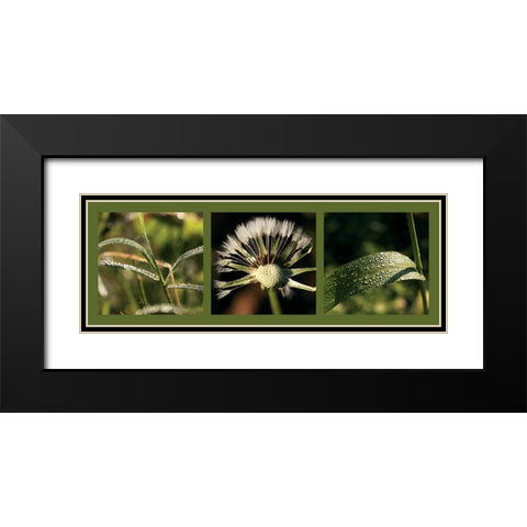 Rosee Black Modern Wood Framed Art Print with Double Matting by Pinsard, Laurent