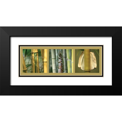 Bambous Black Modern Wood Framed Art Print with Double Matting by Pinsard, Laurent