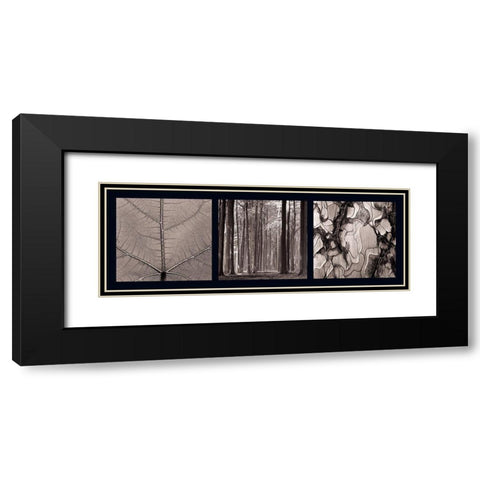 Arbres Black Modern Wood Framed Art Print with Double Matting by Pinsard, Laurent