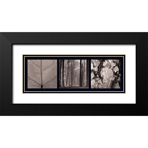 Arbres Black Modern Wood Framed Art Print with Double Matting by Pinsard, Laurent