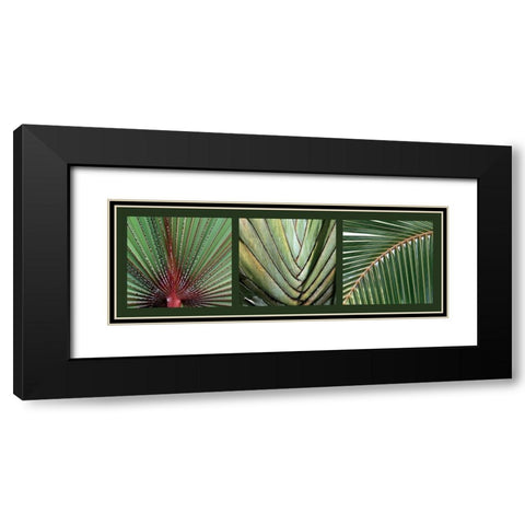 Palmiers Black Modern Wood Framed Art Print with Double Matting by Pinsard, Laurent
