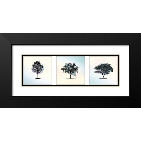 Spectrum Composition Black Modern Wood Framed Art Print with Double Matting by Braun Studio