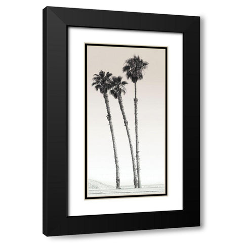 Californian Palm Trees Black Modern Wood Framed Art Print with Double Matting by Braun Studio