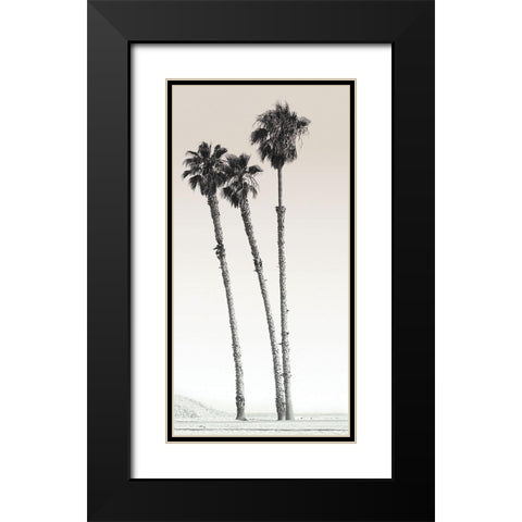 Californian Palm Trees Black Modern Wood Framed Art Print with Double Matting by Braun Studio