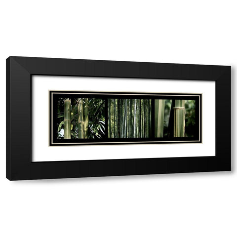 Bambous Black Modern Wood Framed Art Print with Double Matting by Pinsard, Laurent