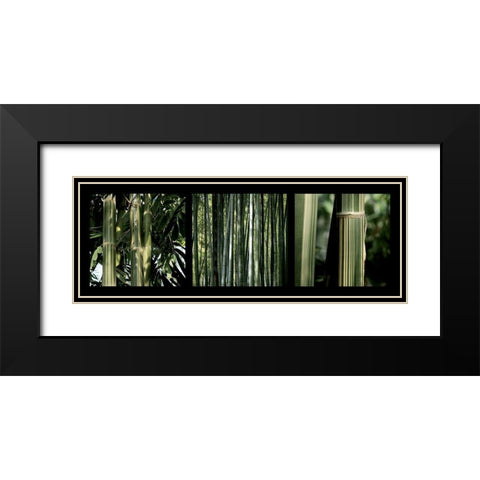 Bambous Black Modern Wood Framed Art Print with Double Matting by Pinsard, Laurent