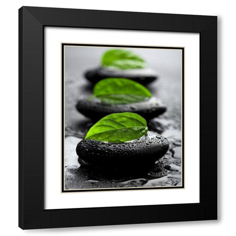 Bien-Ãªtre Black Modern Wood Framed Art Print with Double Matting by Braun Studio