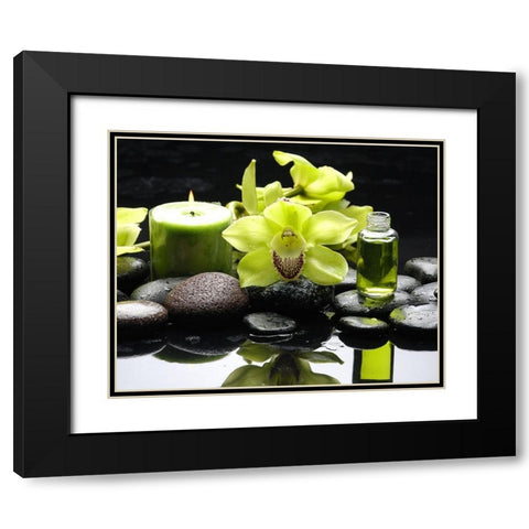 AromathÃ©rapy Black Modern Wood Framed Art Print with Double Matting by Braun Studio