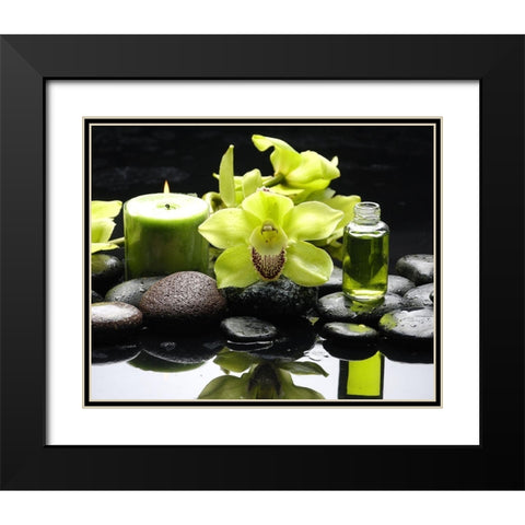 AromathÃ©rapy Black Modern Wood Framed Art Print with Double Matting by Braun Studio
