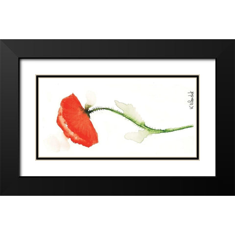 Coquelicot solo II Black Modern Wood Framed Art Print with Double Matting by Blanchet, Karl