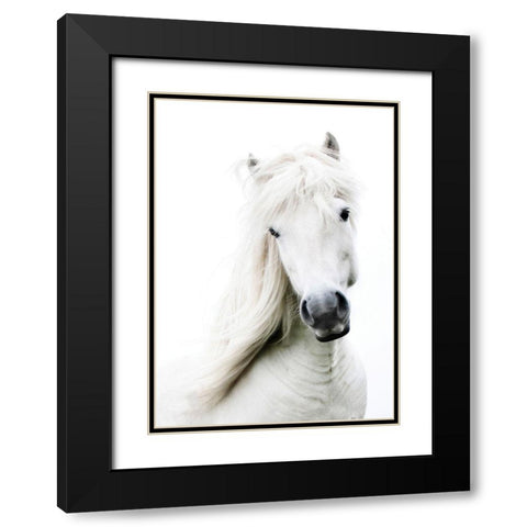 Crin Blanc Black Modern Wood Framed Art Print with Double Matting by Blonde Attitude