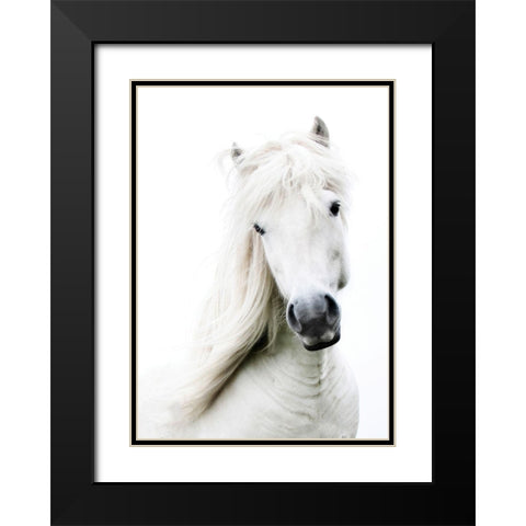 Crin Blanc Black Modern Wood Framed Art Print with Double Matting by Blonde Attitude