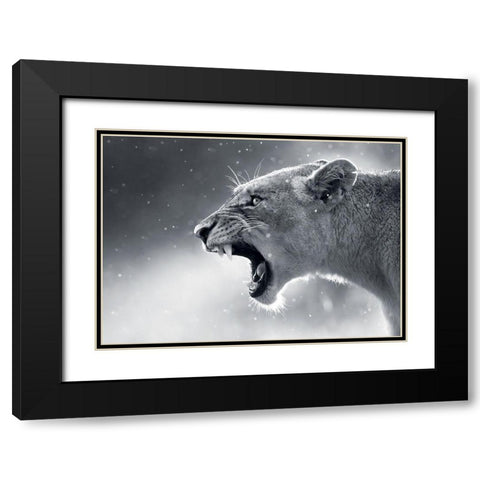 Lionne Black Modern Wood Framed Art Print with Double Matting by Braun Studio