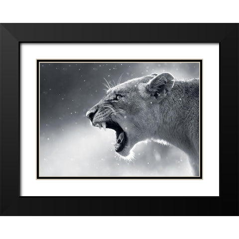 Lionne Black Modern Wood Framed Art Print with Double Matting by Braun Studio