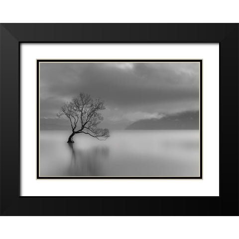 Larbre du lac Black Modern Wood Framed Art Print with Double Matting by Braun Studio