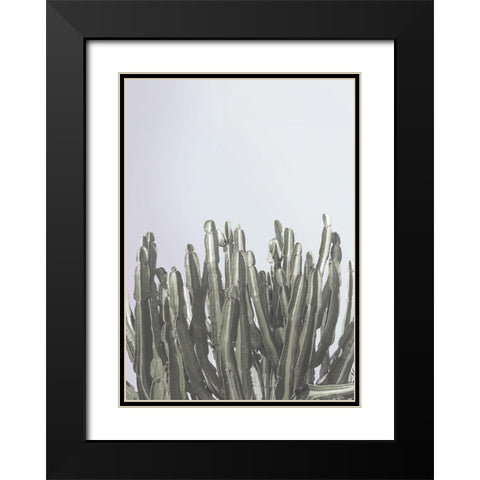 Cactus Cierges Black Modern Wood Framed Art Print with Double Matting by Braun Studio