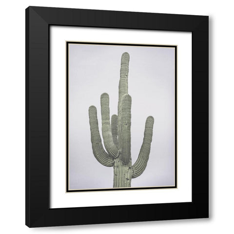 Cactus Totem Black Modern Wood Framed Art Print with Double Matting by Braun Studio