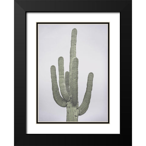 Cactus Totem Black Modern Wood Framed Art Print with Double Matting by Braun Studio