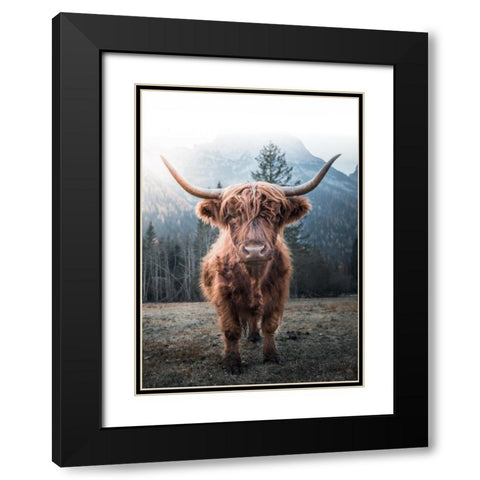Highland Cow Black Modern Wood Framed Art Print with Double Matting by Braun Studio