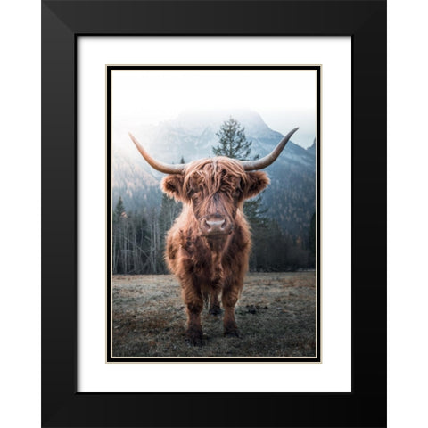 Highland Cow Black Modern Wood Framed Art Print with Double Matting by Braun Studio