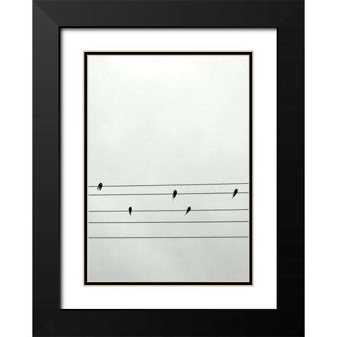 Guitar Birds Black Modern Wood Framed Art Print with Double Matting by Braun Studio