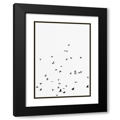 Squadron birds Black Modern Wood Framed Art Print with Double Matting by Braun Studio