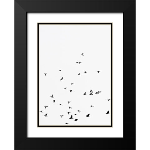 Squadron birds Black Modern Wood Framed Art Print with Double Matting by Braun Studio