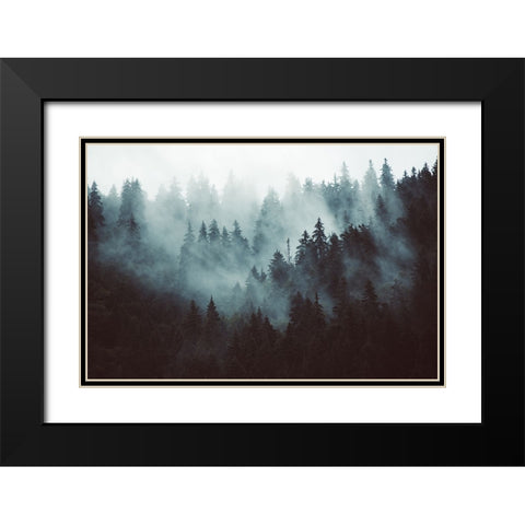 Braun Studio - Misty forest Black Modern Wood Framed Art Print with Double Matting by Braun Studio
