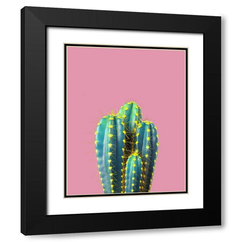 Braun Studio - Cactus epines jaunes Black Modern Wood Framed Art Print with Double Matting by Braun Studio