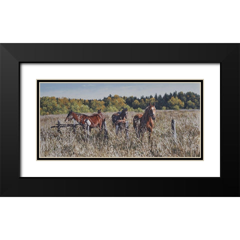 Free Run Black Modern Wood Framed Art Print with Double Matting by Adamov, Alexey