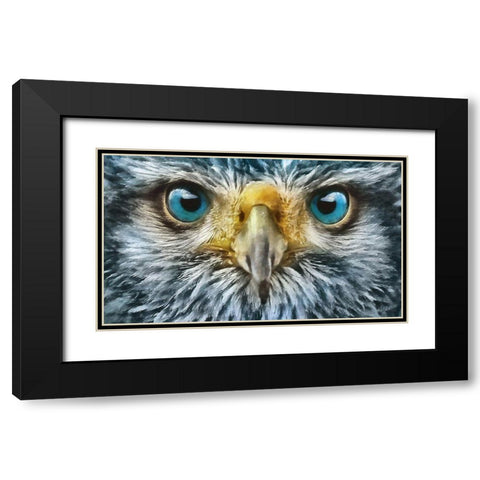 Owls Eyes II Black Modern Wood Framed Art Print with Double Matting by Medeiros, Celito