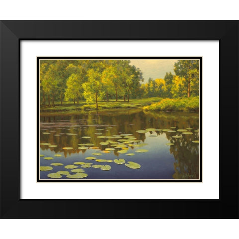 Water Lilies on the River II Black Modern Wood Framed Art Print with Double Matting by Adamov, Alexey