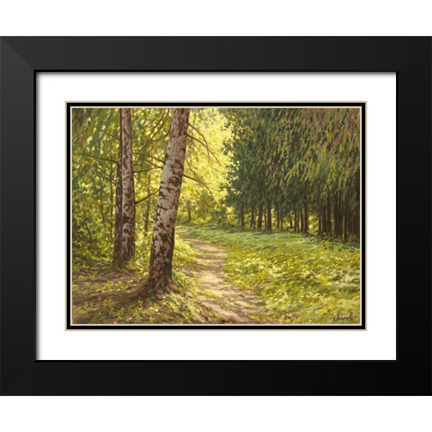 The Path to the Forest II Black Modern Wood Framed Art Print with Double Matting by Adamov, Alexey