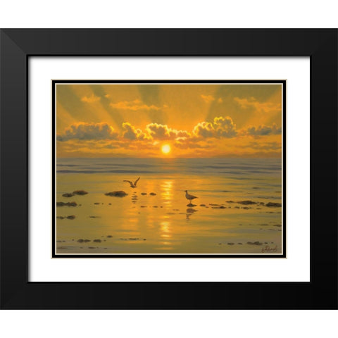 Sunset over the  Sea with Seagulls III Black Modern Wood Framed Art Print with Double Matting by Adamov, Alexey