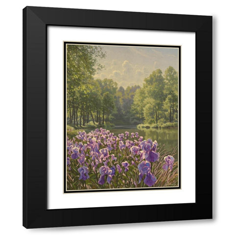 Purple Iris by the River Black Modern Wood Framed Art Print with Double Matting by Adamov, Alexey
