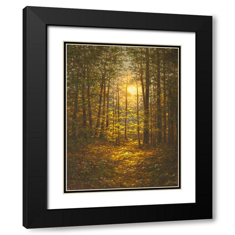 Sunbeams through the Forest Black Modern Wood Framed Art Print with Double Matting by Adamov, Alexey