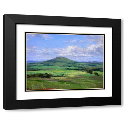 Early Summer Black Modern Wood Framed Art Print with Double Matting by Chaney, Alan