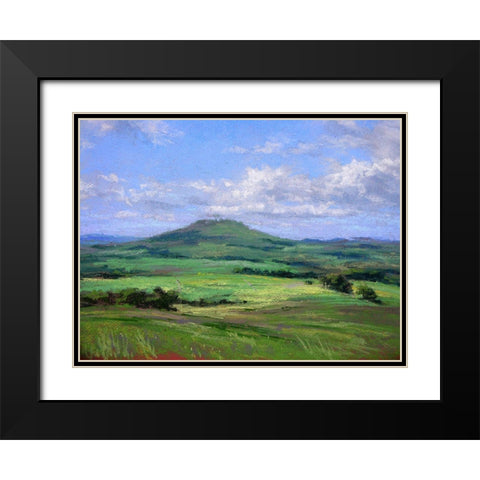 Early Summer Black Modern Wood Framed Art Print with Double Matting by Chaney, Alan