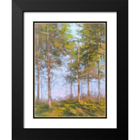 Trought The Trees Black Modern Wood Framed Art Print with Double Matting by Chaney, Alan