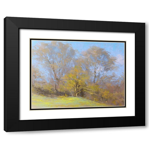 Sunny Autumn Day Black Modern Wood Framed Art Print with Double Matting by Chaney, Alan