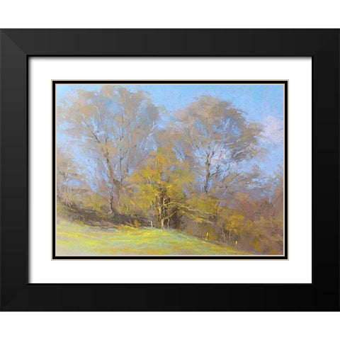 Sunny Autumn Day Black Modern Wood Framed Art Print with Double Matting by Chaney, Alan