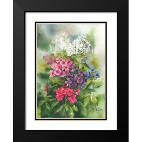 Phlox in the Garden Black Modern Wood Framed Art Print with Double Matting by Besedina, Anastasiia